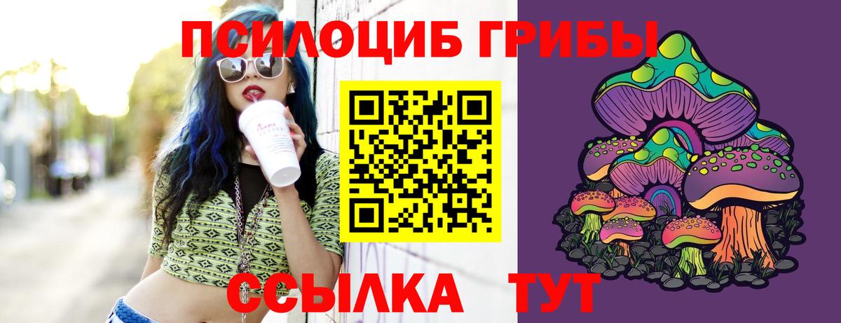 Псилоцибиновые грибы Magic Shrooms Сызрань